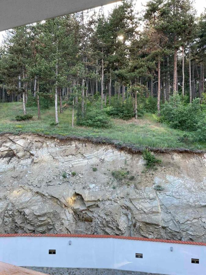 Апартамент Ванеса Velingrad Esterno foto